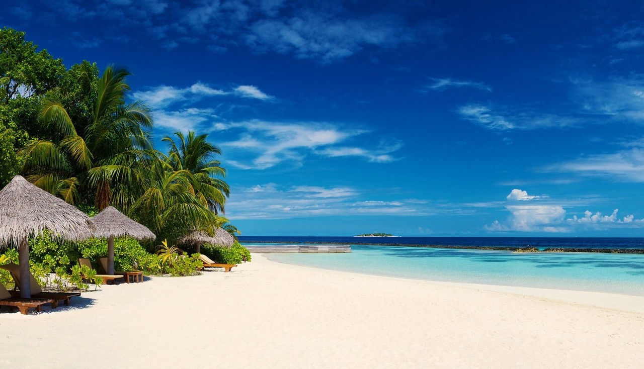 Programas Caribe